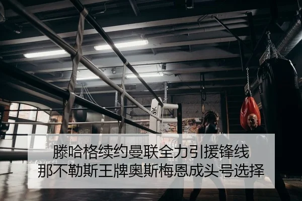 teng-ha-ge-xu-yue-man-lian-quan-li-yin-yuan-feng-xian-na-bu-le-si-wang-pai-ao-si-mei-en-cheng-tou-hao-xuan-ze-2-381.jpg